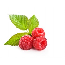 Mermelada de Frambuesa